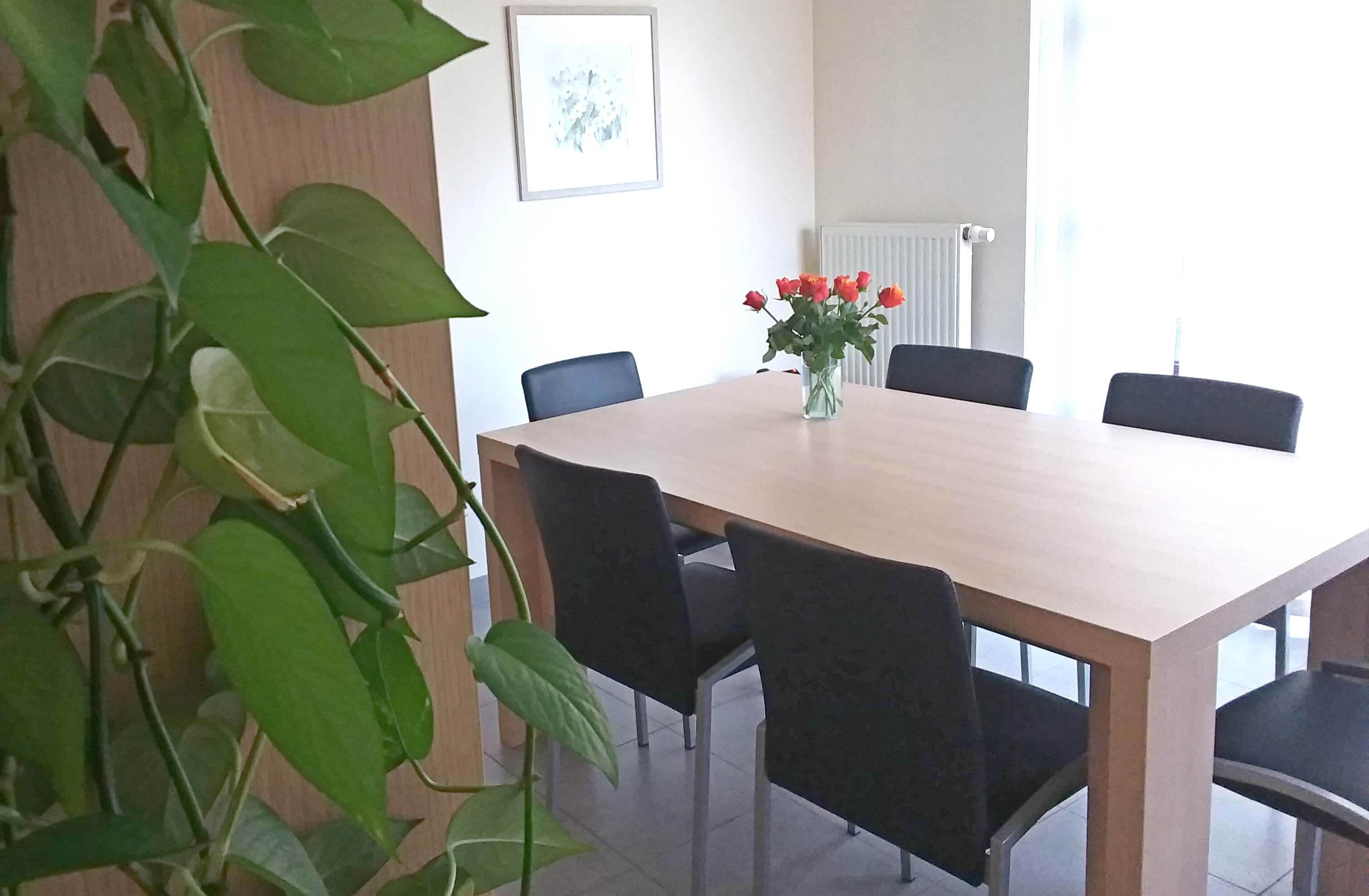kleine aangename vergaderruimte geschikt voor teamvergadering, sollicitatiegesprek, ...
